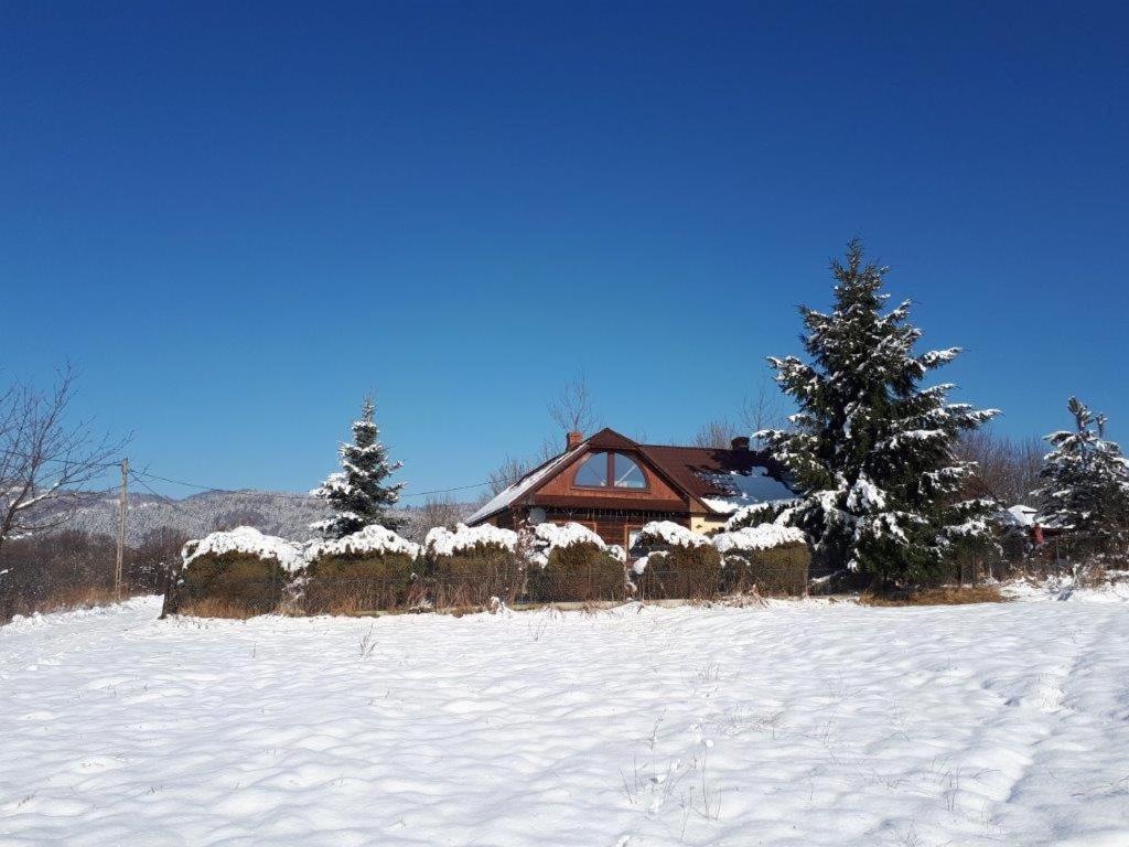 Gilowice  Dom Grabowa Z Sauna I Podgrzewanym Basenem מראה חיצוני תמונה