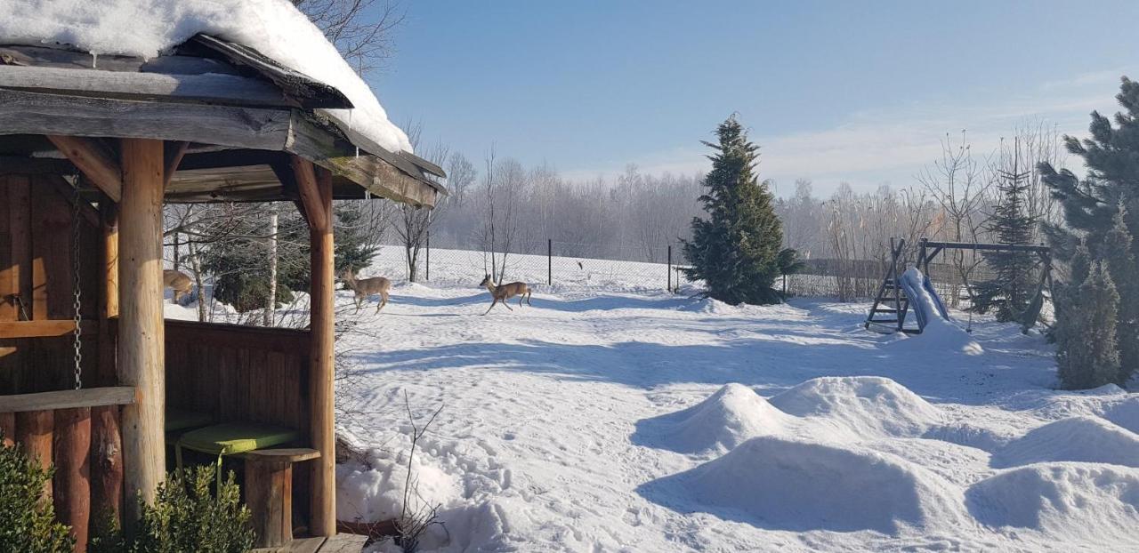 Gilowice  Dom Grabowa Z Sauna I Podgrzewanym Basenem מראה חיצוני תמונה
